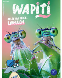 Wapiti Abo