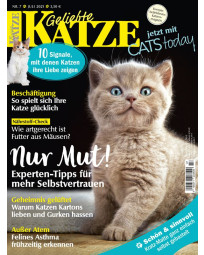 Abonnement Geliebte Katze